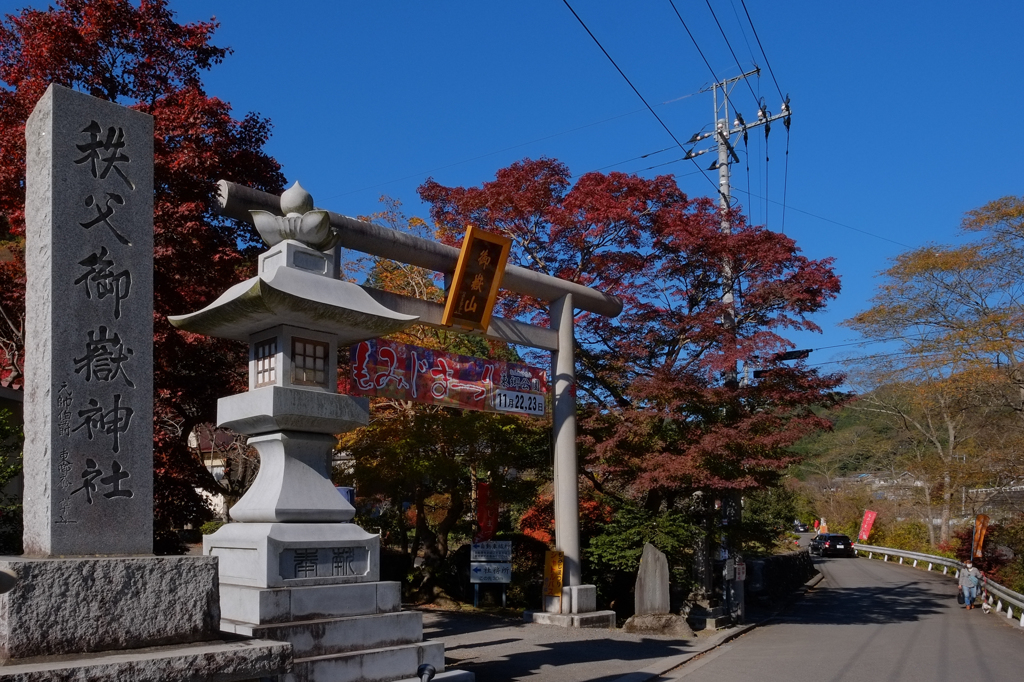 東郷公園 秩父御嶽神社