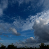 DSCF6306