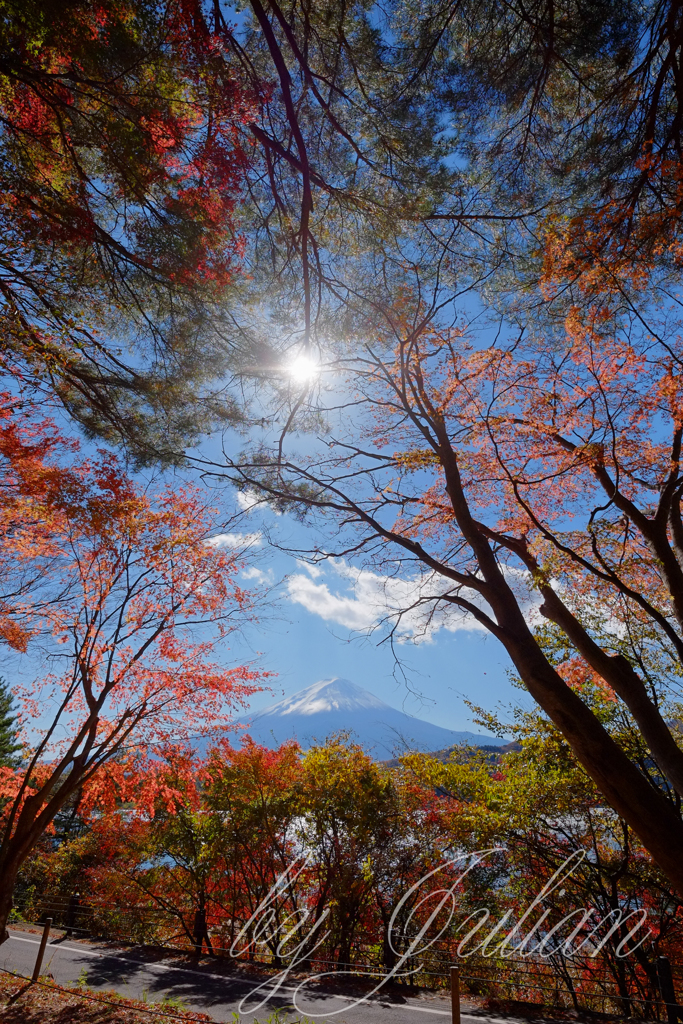 秋の富士山