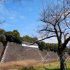 皇居にて