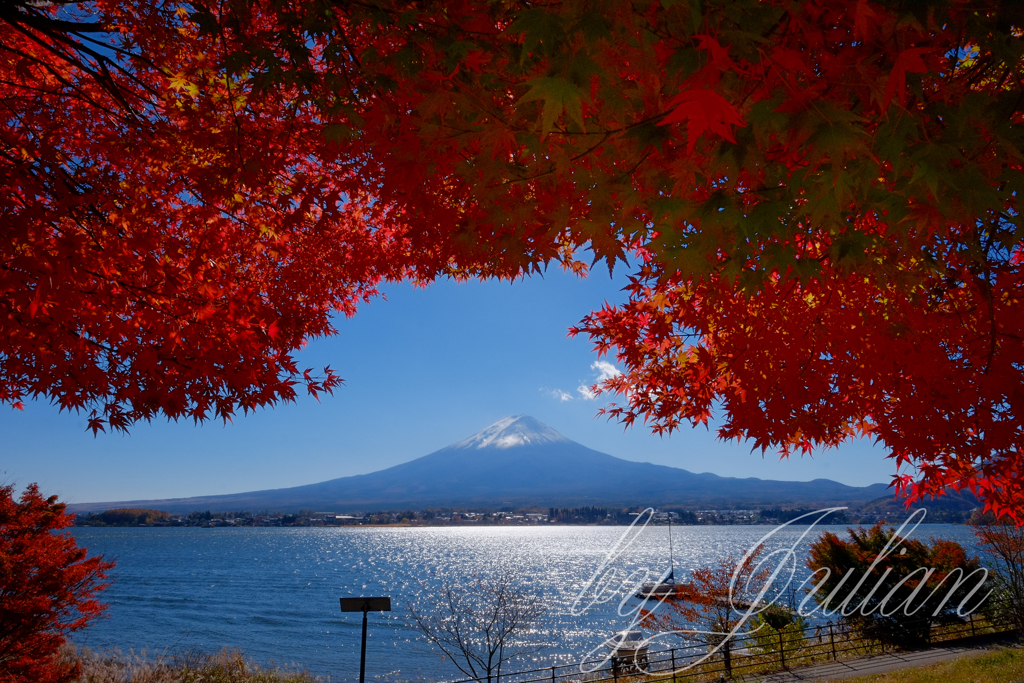 富士山と紅葉