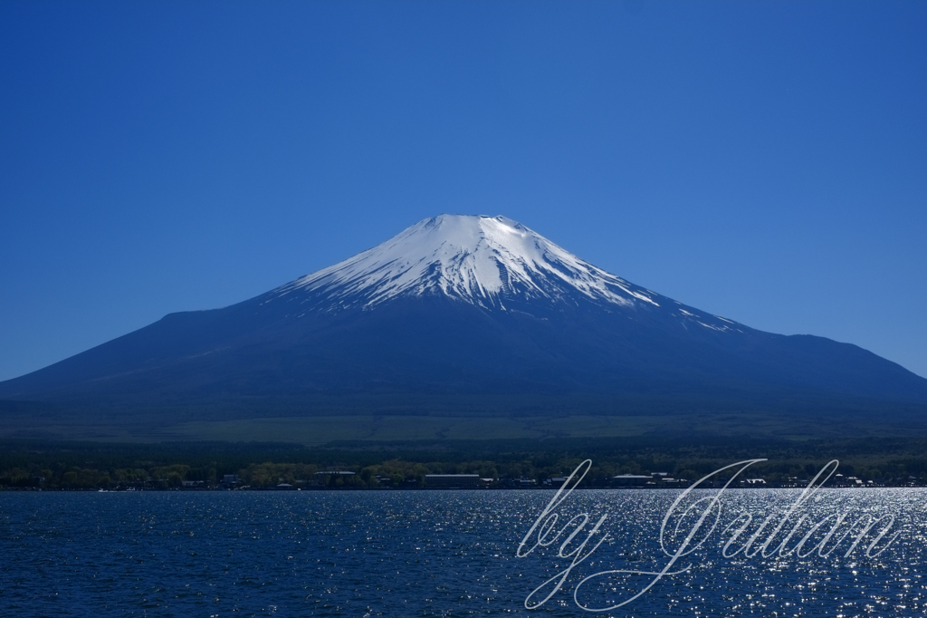 山中湖にて