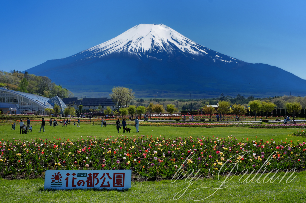 花の都公園にて