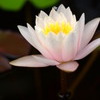 DSCF6055