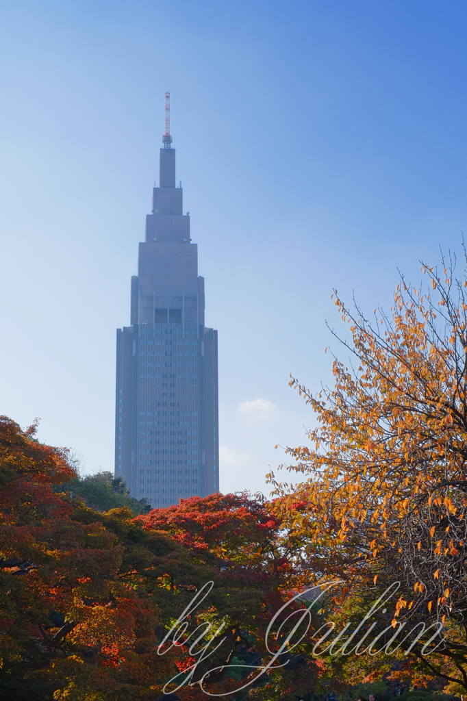 秋の新宿御苑