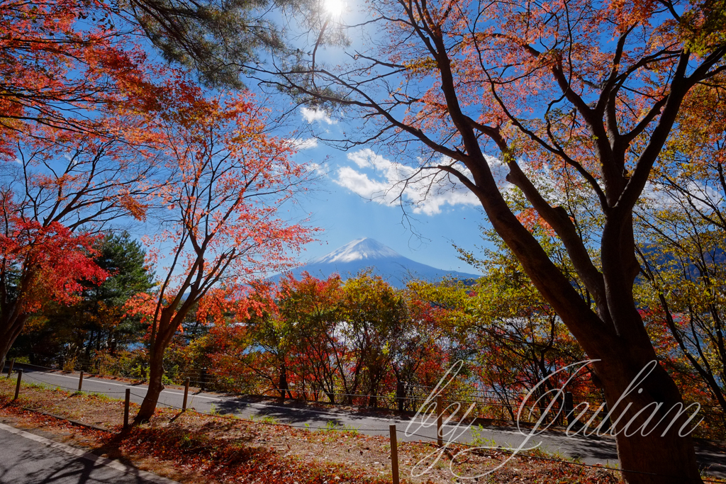 秋の富士山
