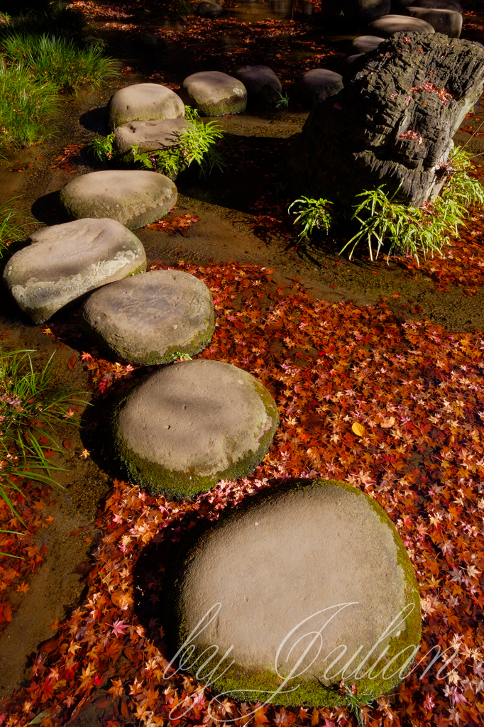 小石川後楽園の紅葉