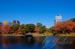 小石川後楽園の紅葉