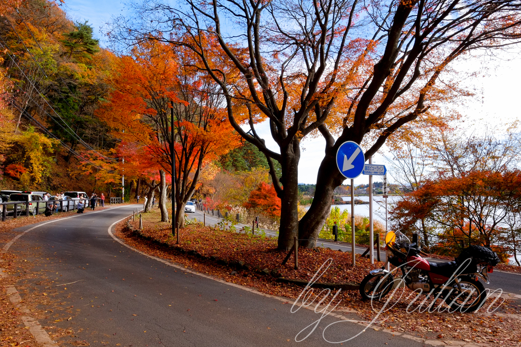 紅葉ツーリング 河口湖　紅葉トンネルにて