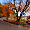 紅葉ツーリング 河口湖　紅葉トンネルにて