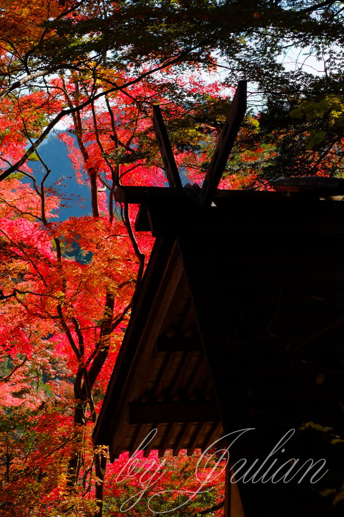 東郷公園 秩父御嶽神社