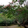 DSCF5851