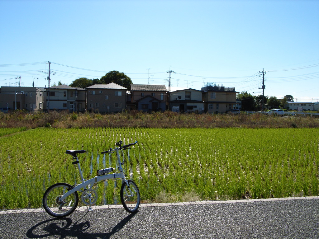 さいたまの景色