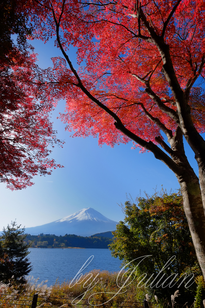 紅葉と富士山