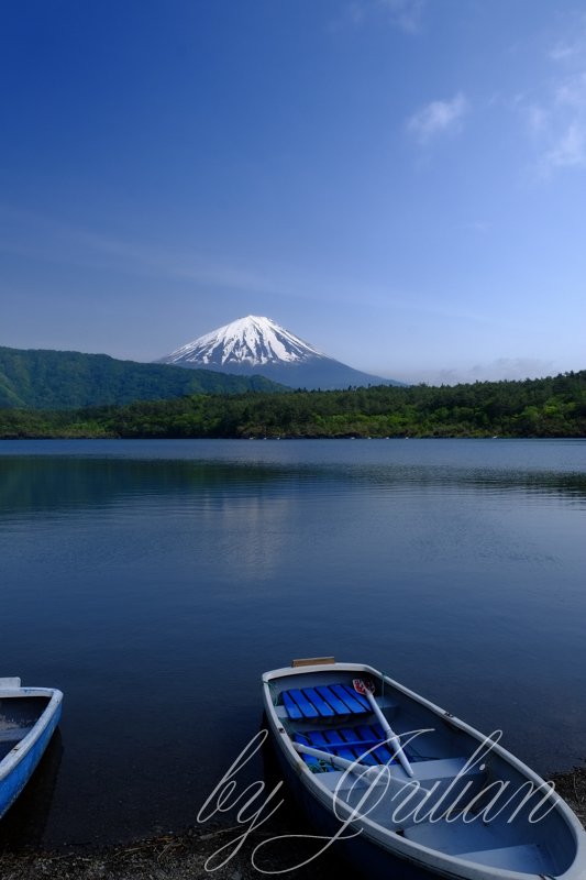 西湖と富士山