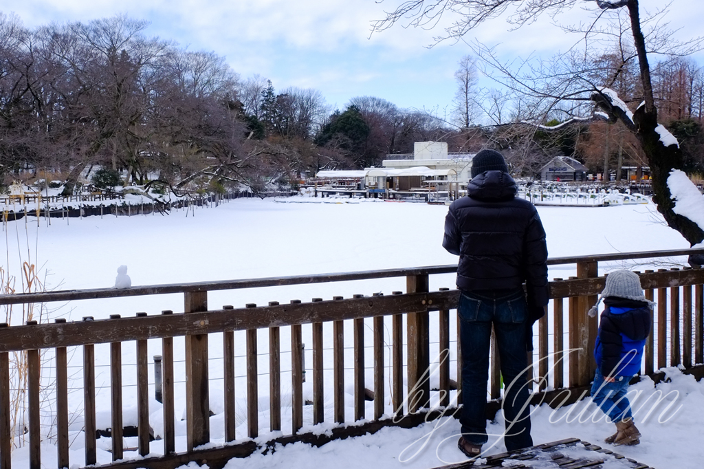 雪の公園