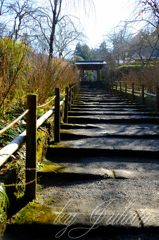 IN KAMAKURA