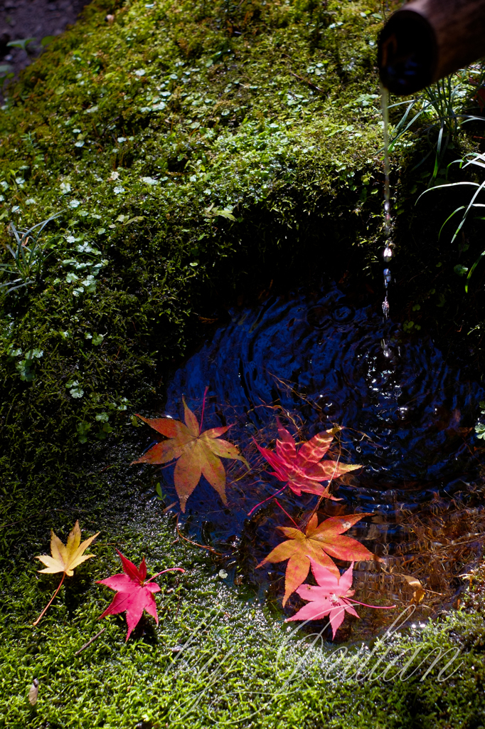 東郷公園 秩父御嶽神社