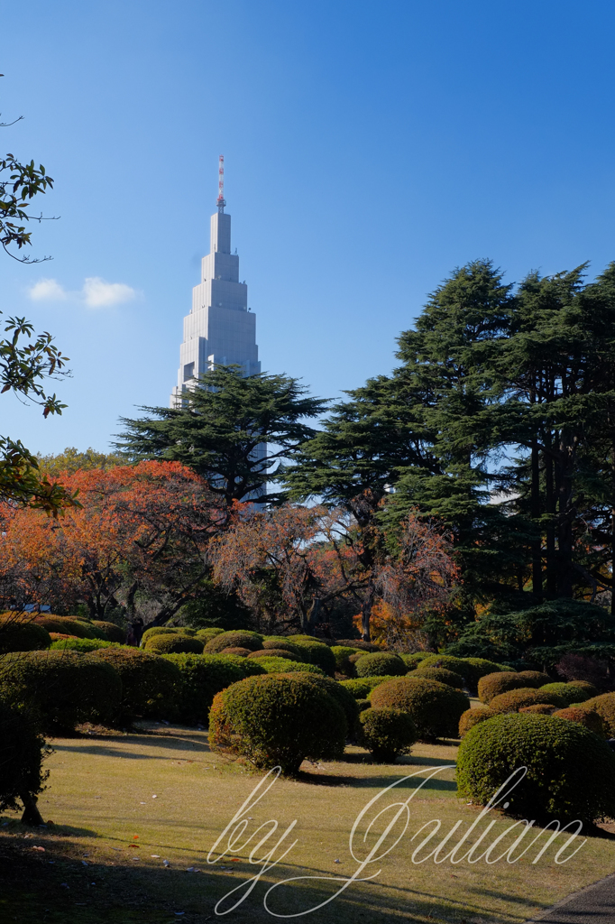 新宿御苑の紅葉