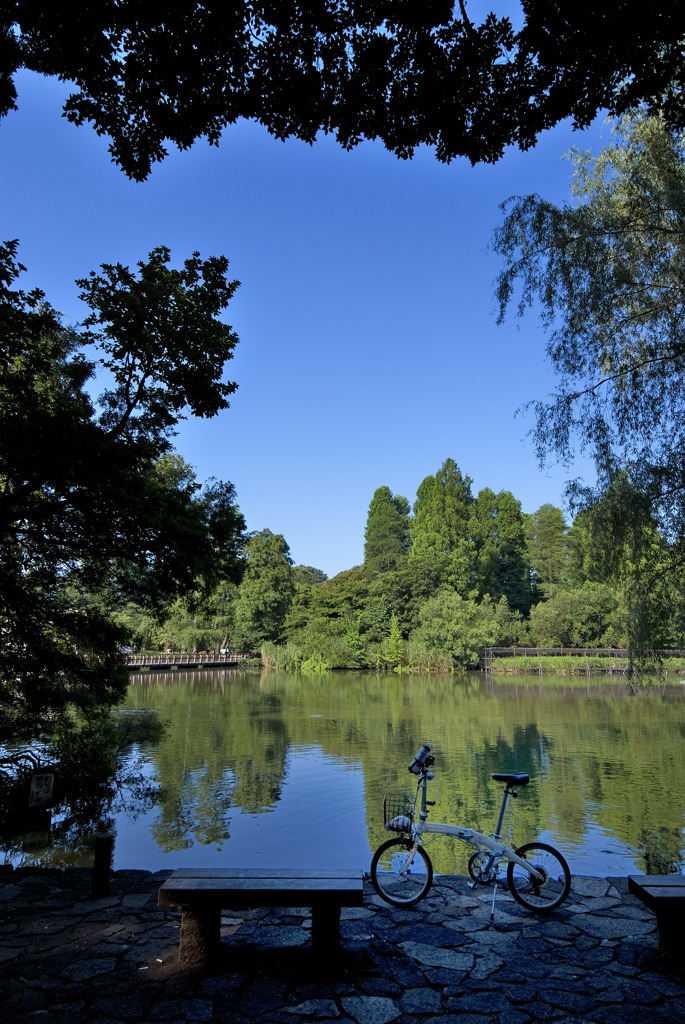 井の頭公園早朝ポタリング