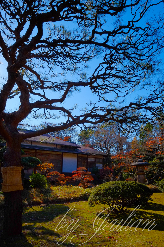 小石川後楽園の紅葉