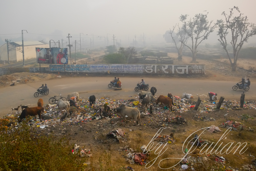 インドの風景