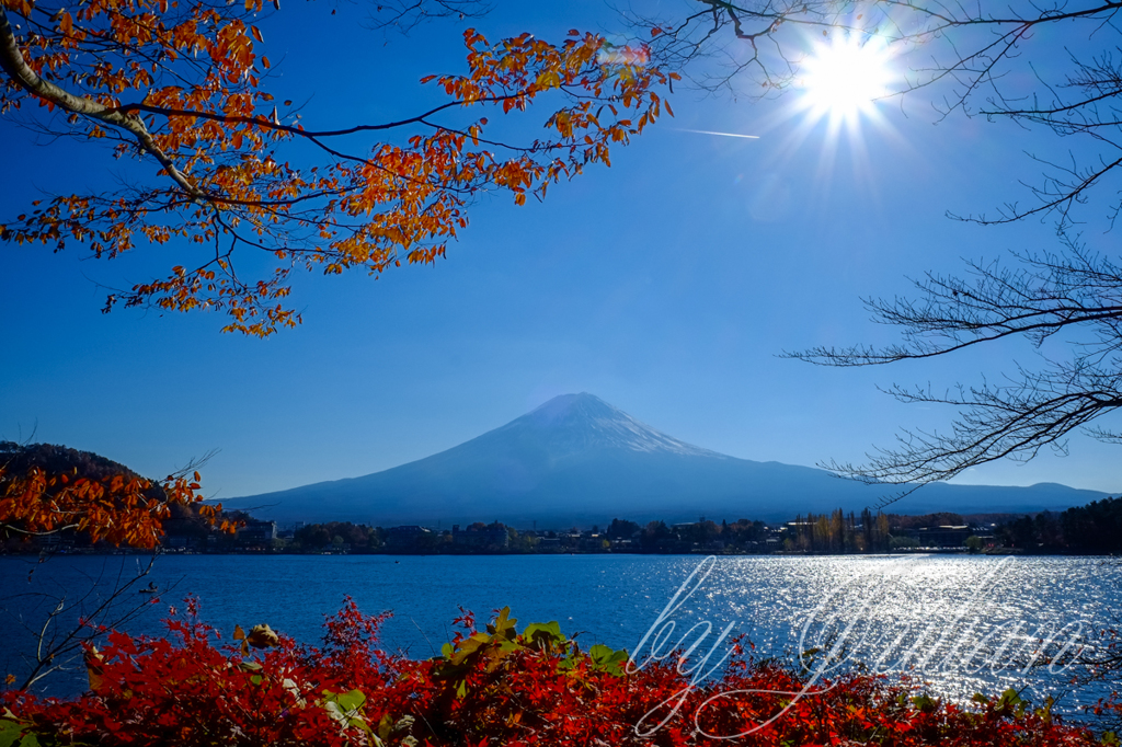 BEAUTIFUL JAPAN "Fuji in Autumn"