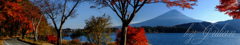 BEAUTIFUL JAPAN "Fuji in Autumn"