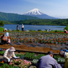 西湖と富士山