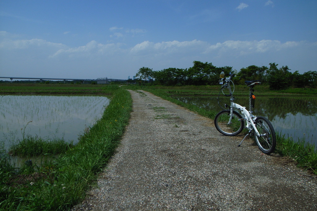 荒川ポタリング