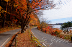紅葉ツーリング 河口湖　紅葉トンネルにて