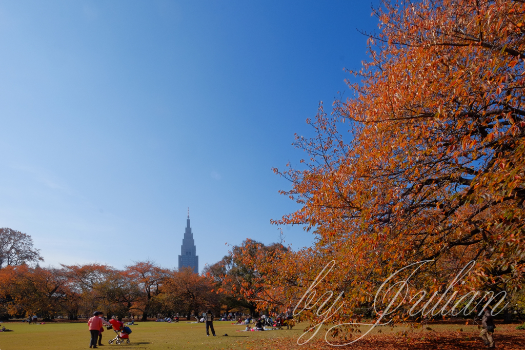 新宿御苑の紅葉