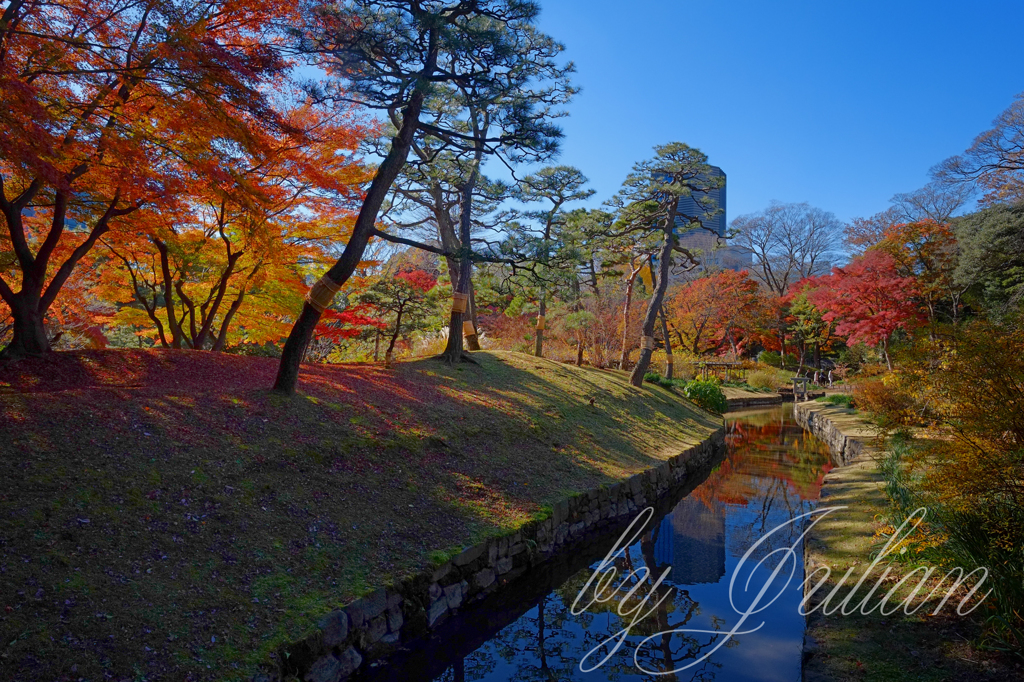 小石川後楽園の紅葉