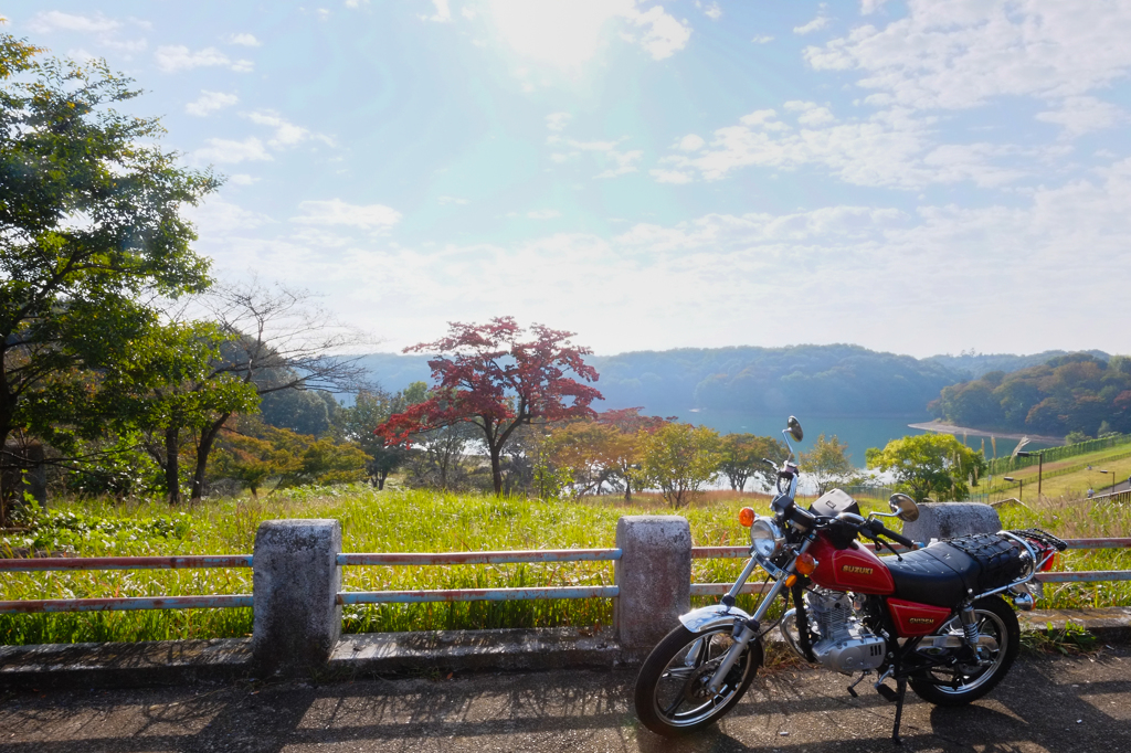 多摩湖にて