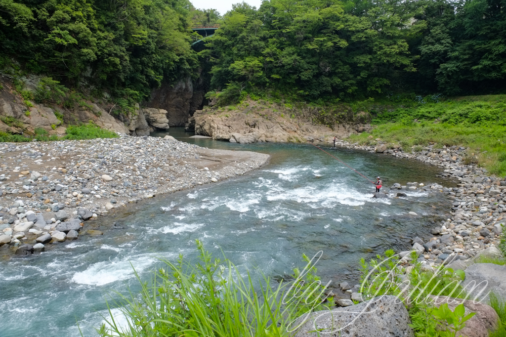 鮎釣り