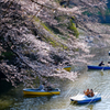 皇居にて