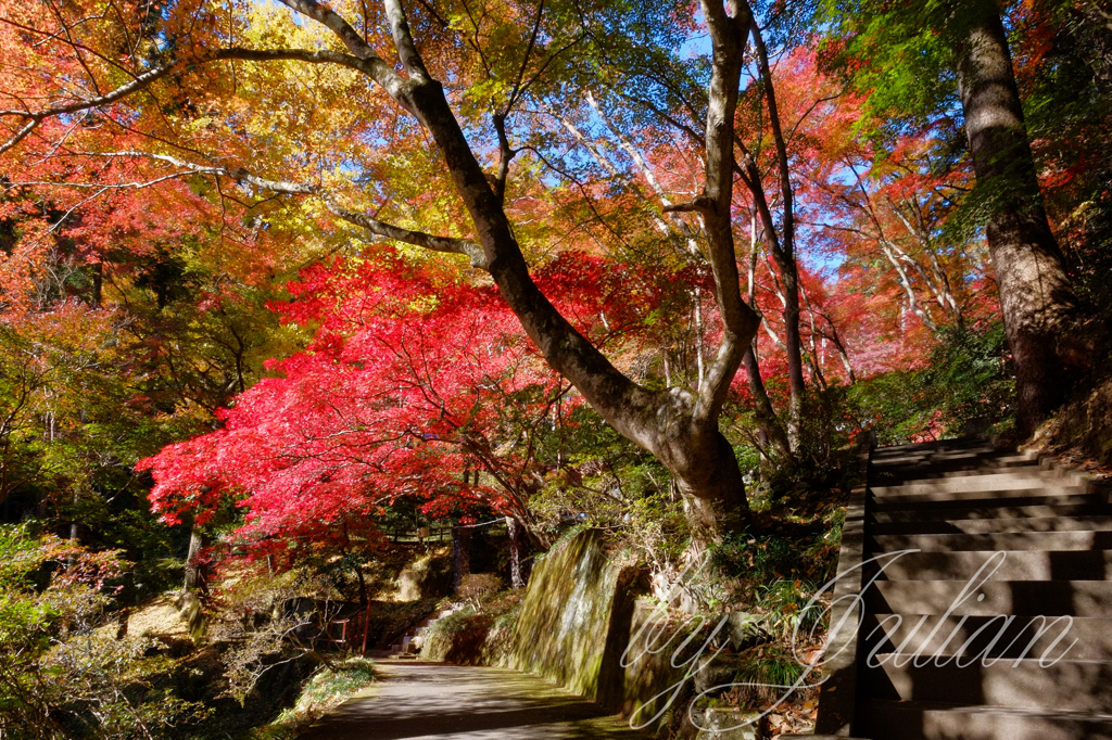東郷公園 秩父御嶽神社