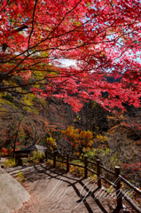 昇仙峡の紅葉