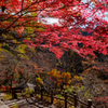 昇仙峡の紅葉