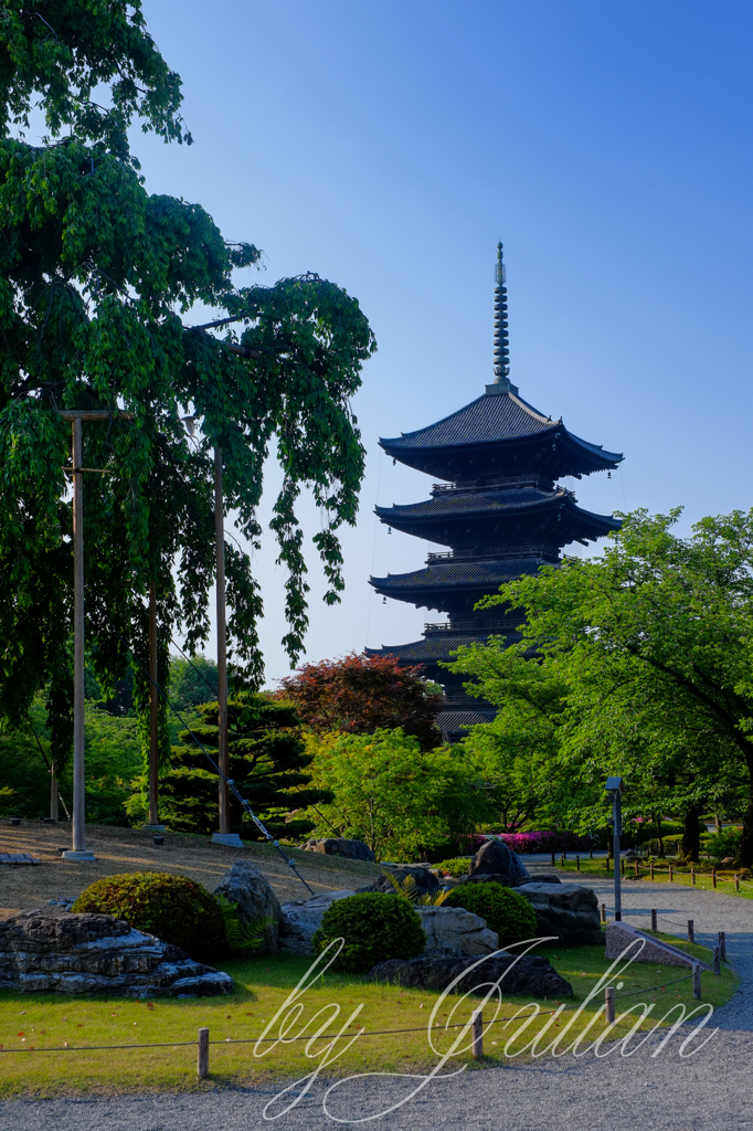 東寺にて