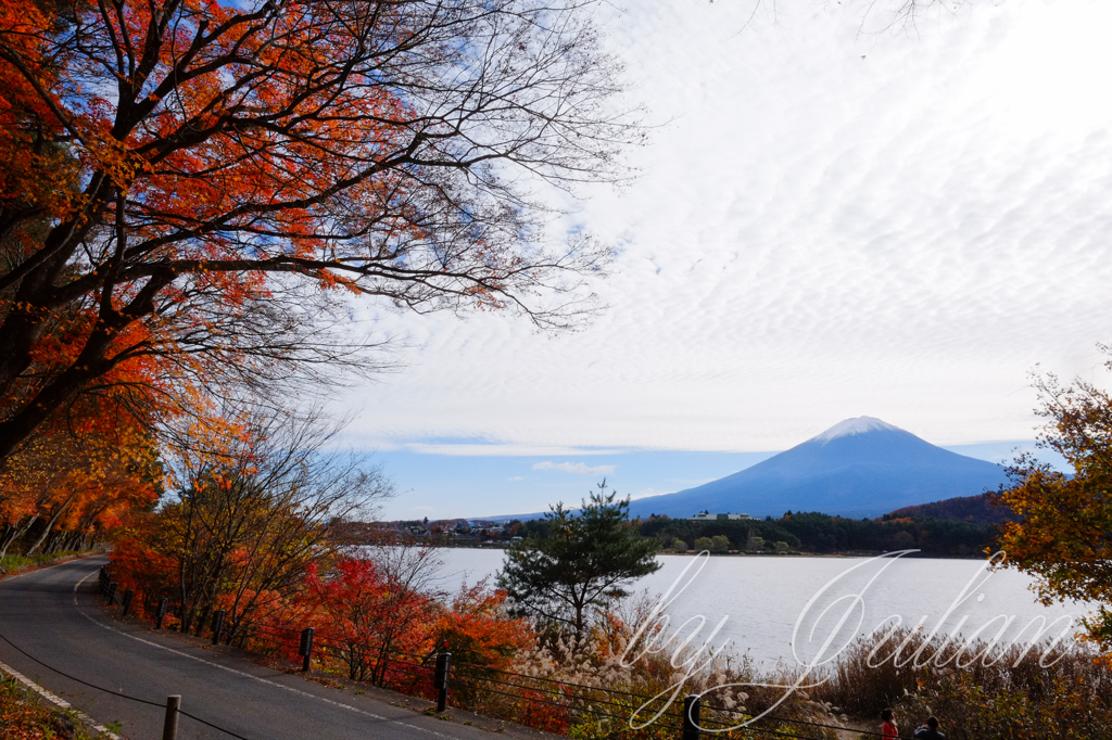 紅葉ツーリング 河口湖　紅葉トンネルにて