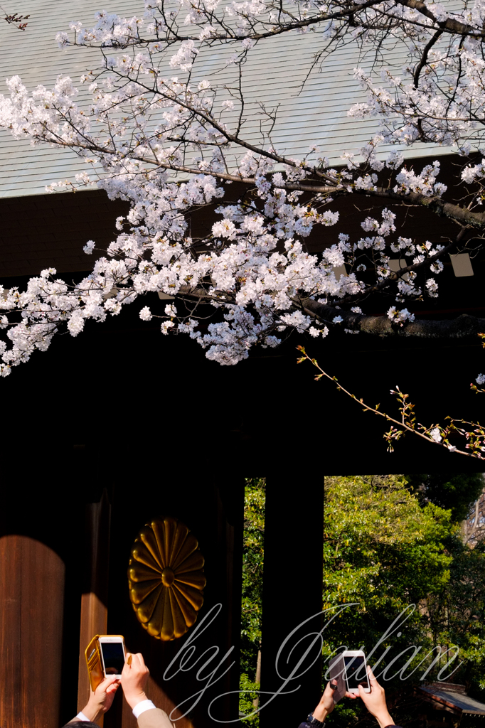 靖国神社にて