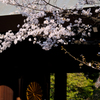 靖国神社にて