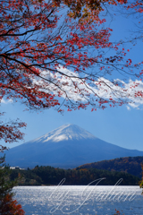 秋の富士山