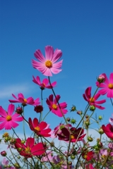DSCF6658