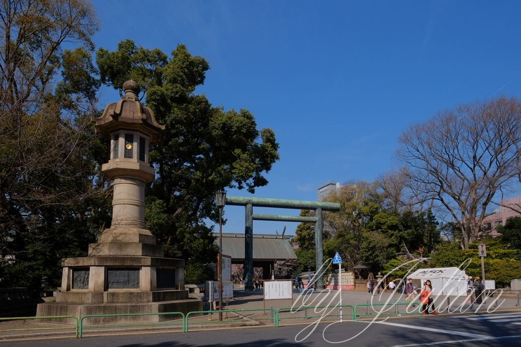 靖国神社の春