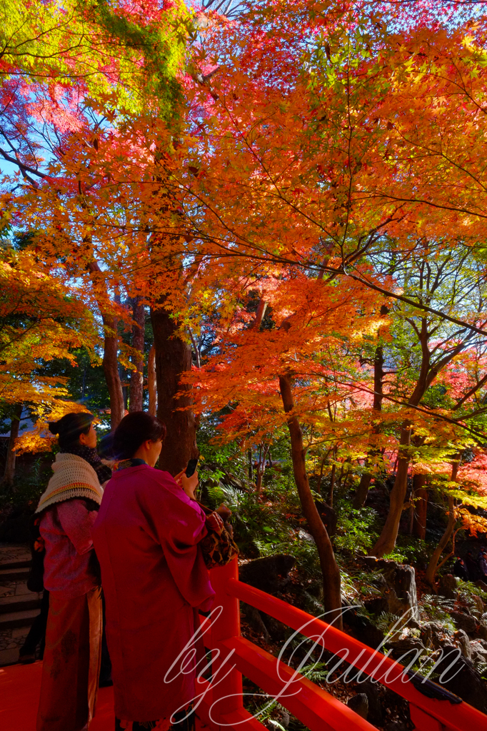 小石川後楽園の紅葉