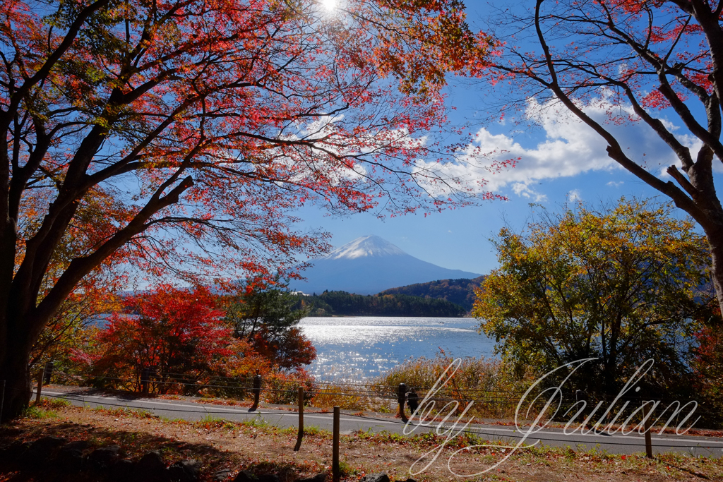 富士山と紅葉