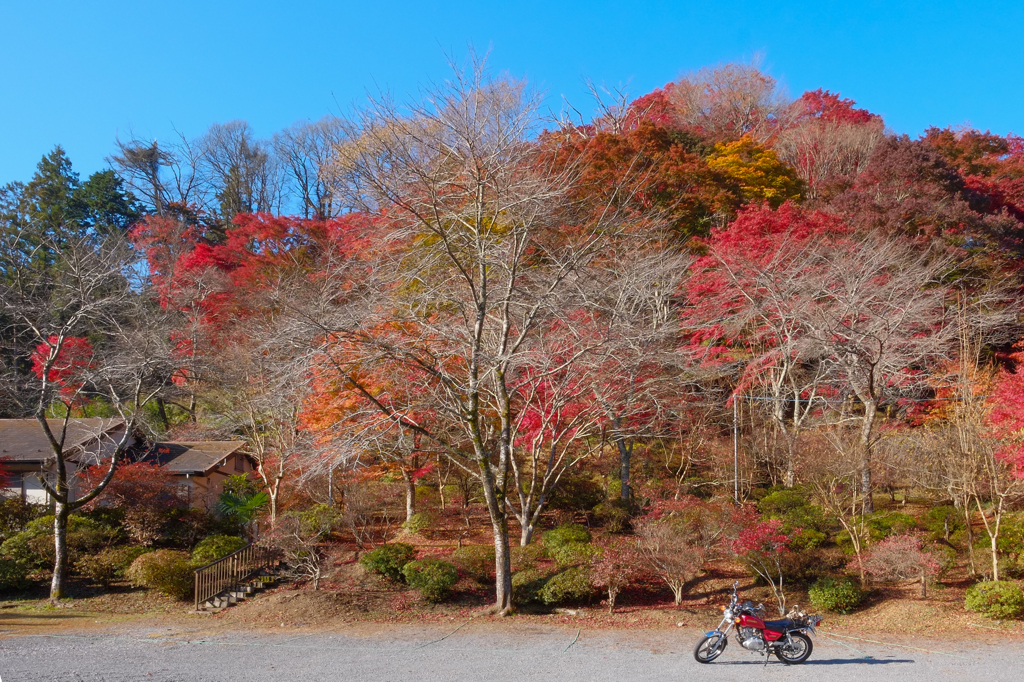 鳥居観音