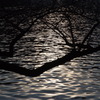 DSCF0694